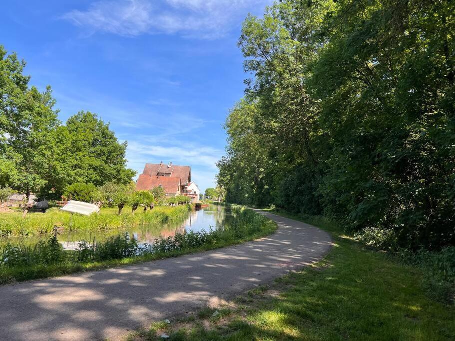 Le Jardin Paisible-Proche Centre Apartment Obernai Luaran gambar