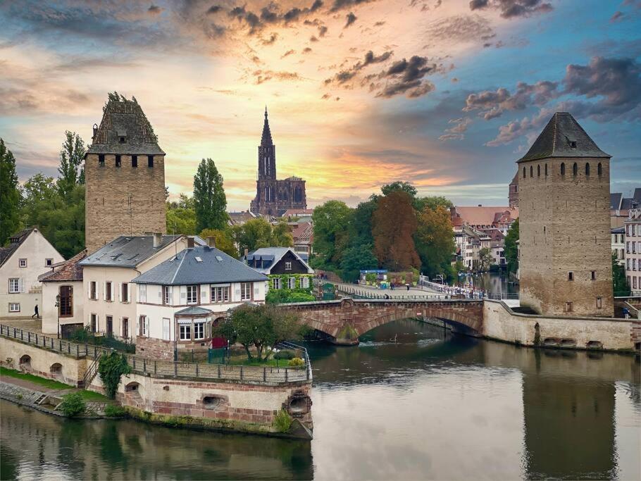 Le Jardin Paisible-Proche Centre Apartment Obernai Luaran gambar