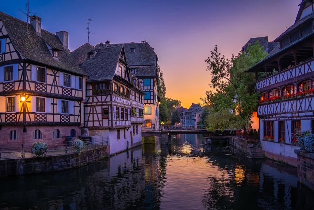 Le Jardin Paisible-Proche Centre Apartment Obernai Luaran gambar