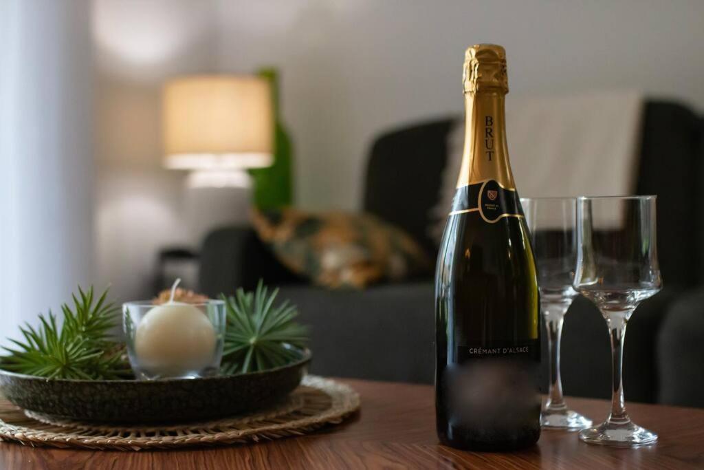 Le Jardin Paisible-Proche Centre Apartment Obernai Luaran gambar